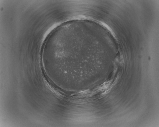 X0000074041326200609111729