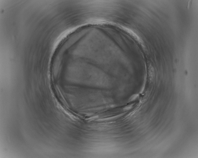 X0000074041327200609111729