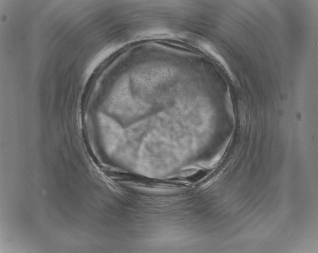 X0000074041328200609111729