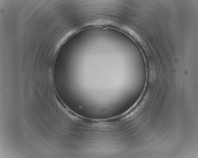 X0000074041329200609111729