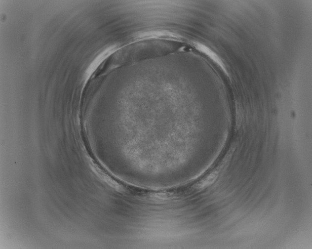 X0000074041330200609111729