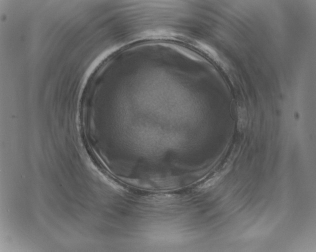 X0000074041331200609111729