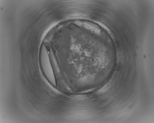 X0000074041333200609111729