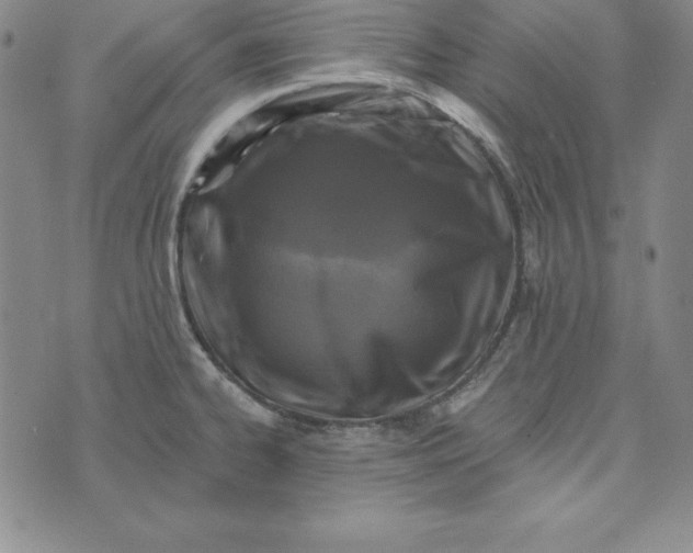 X0000074041334200609111729