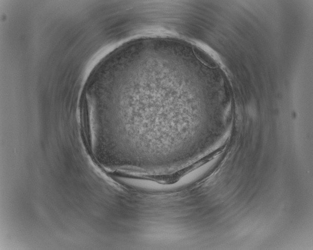 X0000074041335200609111729