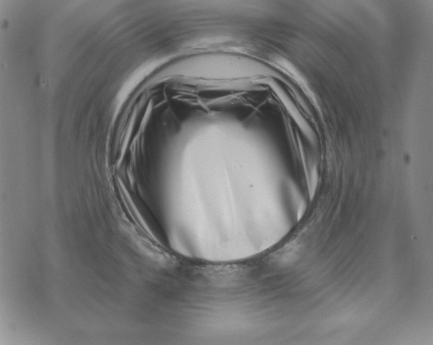 X0000074041336200609111729