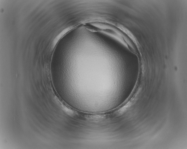 X0000074041337200609111729