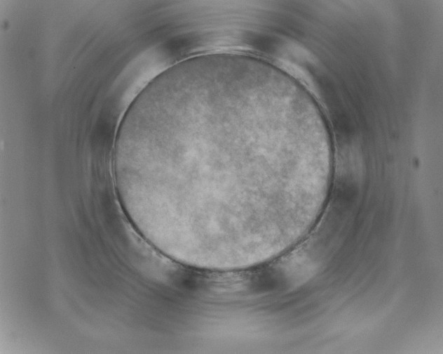 X0000074041338200609111729