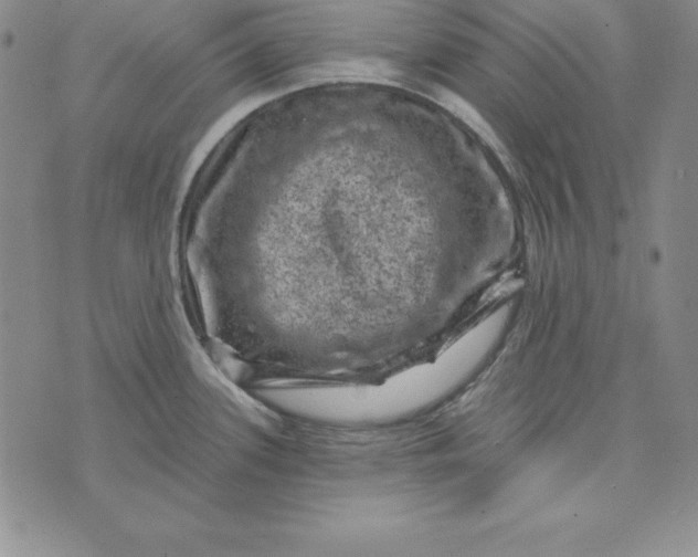 X0000074041339200609111729