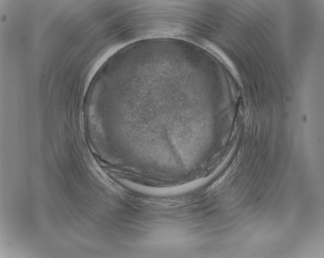 X0000074041340200609111729