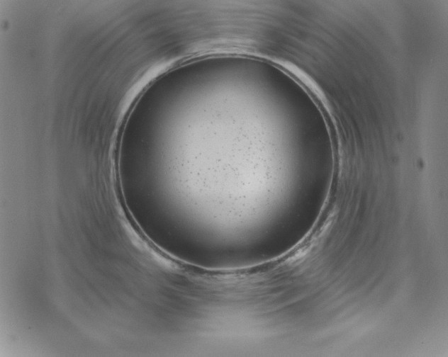 X0000074041341200609111729