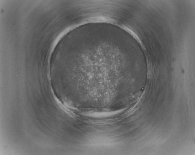 X0000074041342200609111729