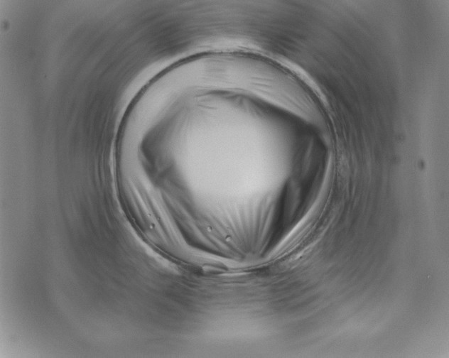 X0000074041343200609111729