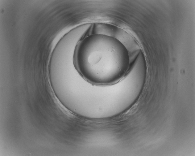 X0000074041344200609111729