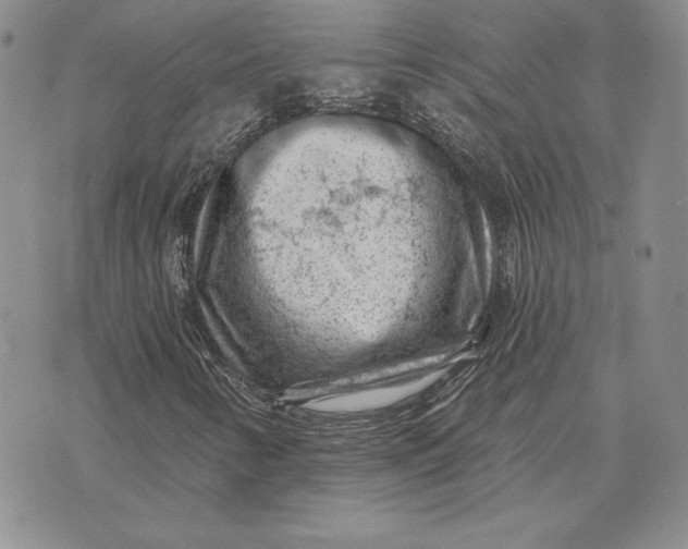 X0000074041346200609111729