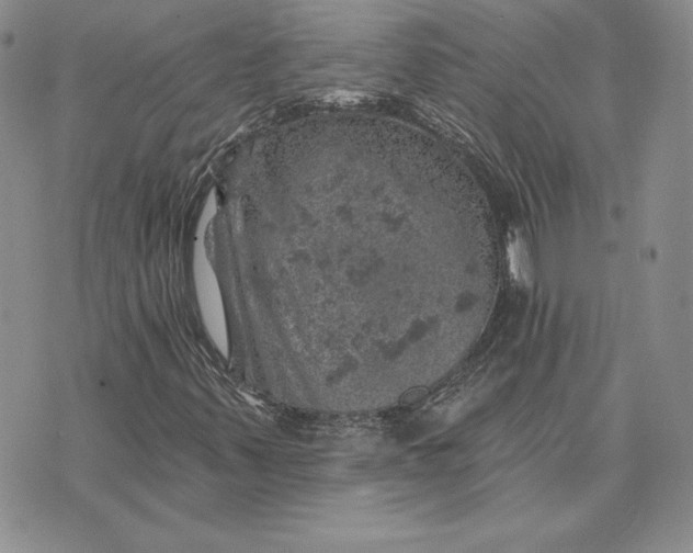 X0000074041347200609111729