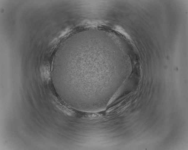 X0000074041348200609111729