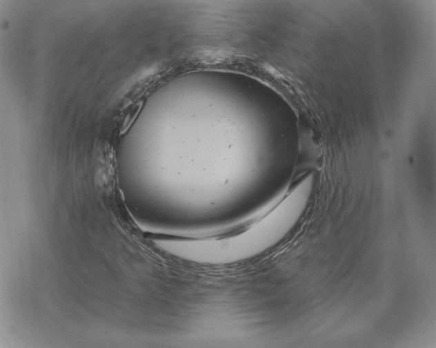 X0000074041349200609111729