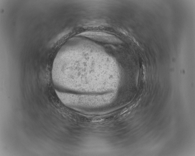 X0000074041350200609111729