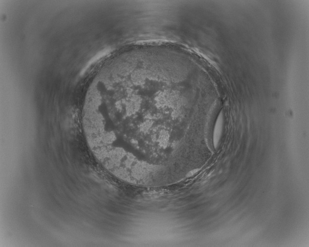 X0000074041351200609111729