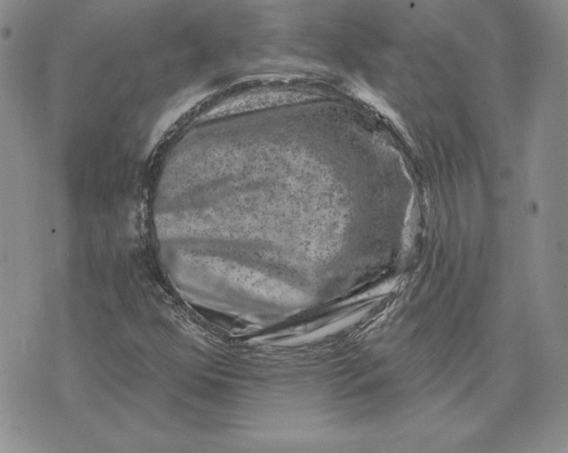 X0000074041352200609111729