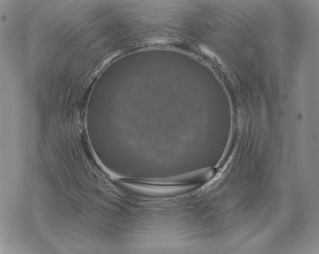 X0000074041353200609111729