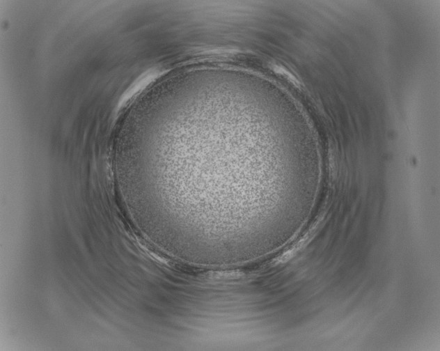 X0000074041354200609111729