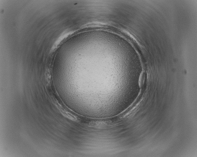 X0000074041355200609111729