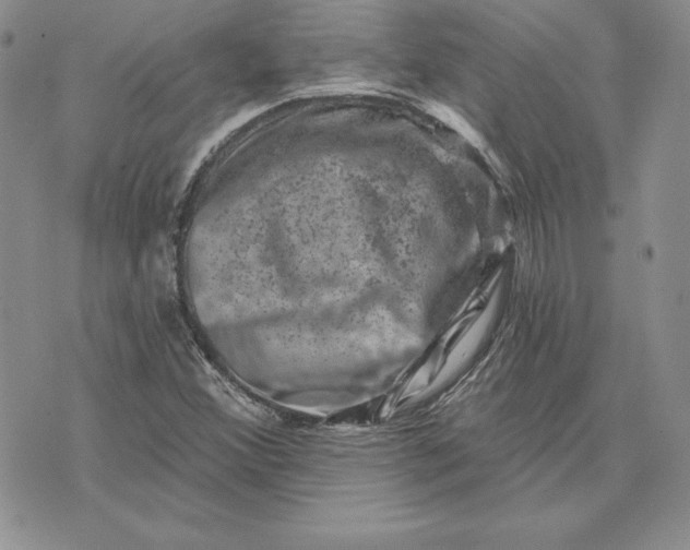 X0000074041356200609111729