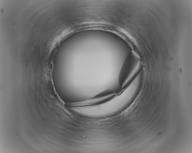 X0000074041357200609111728