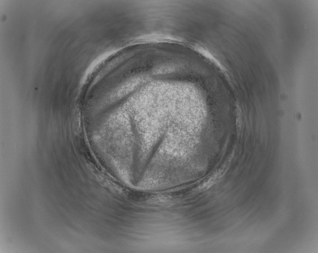 X0000074041358200609111728