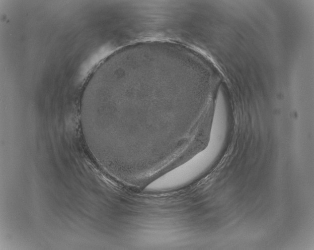 X0000074041359200609111728