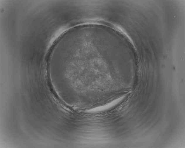 X0000074041360200609111728