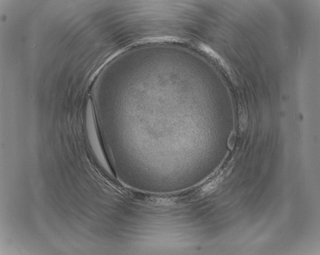 X0000074041361200609111728