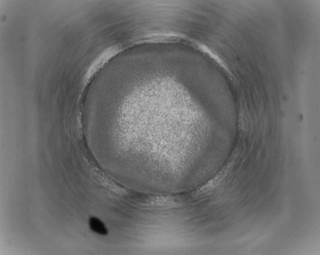 X0000074041362200609111728