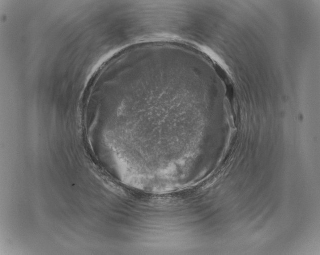 X0000074041364200609111728