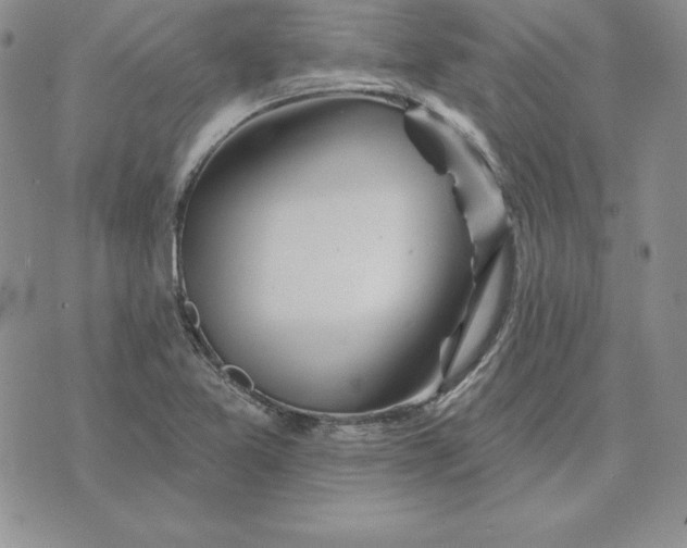 X0000074041365200609111728