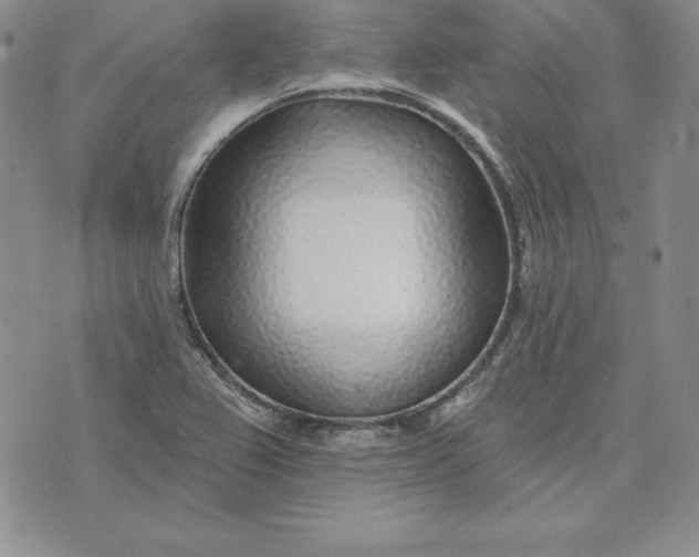 X0000074041367200609111728