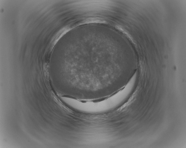 X0000074041369200609111728