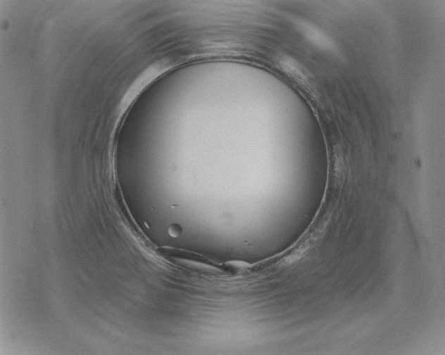 X0000074041370200609111728