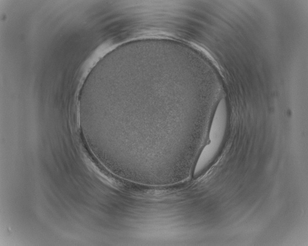 X0000074041371200609111728