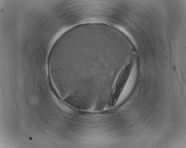 X0000074041372200609111728