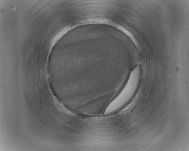 X0000074041373200609111728