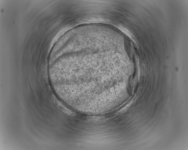 X0000074041374200609111728