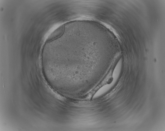 X0000074041375200609111728