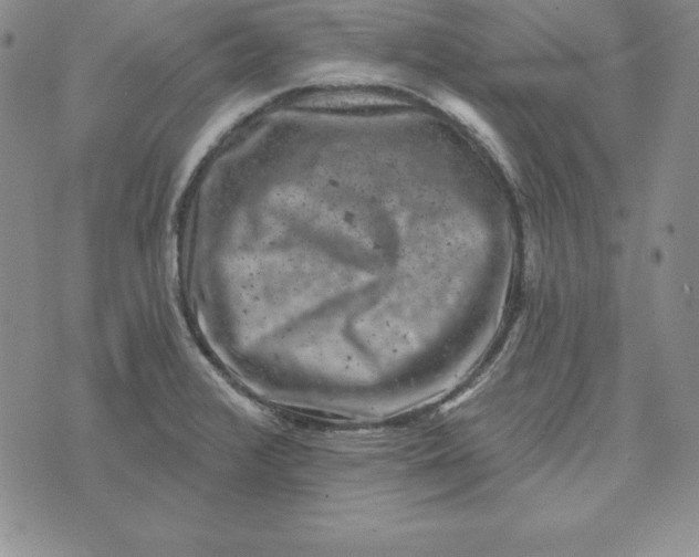 X0000074041376200609111728