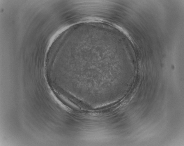 X0000074041379200609111728