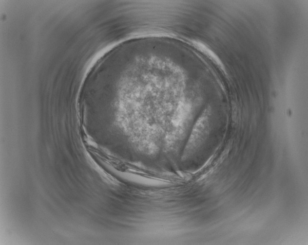 X0000074041380200609111728