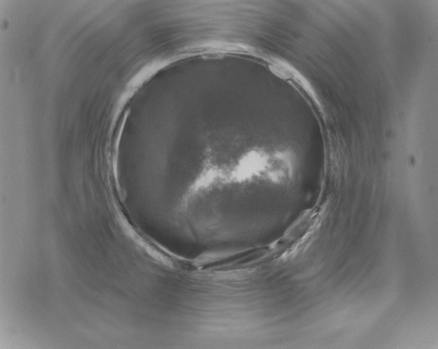 X0000074041381200609111728