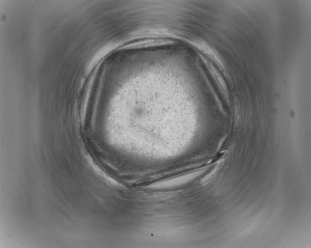 X0000074041382200609111728